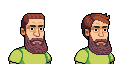 Distinguished bearded face